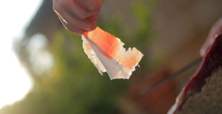 fetta contro luce del sole prosciutto di cinta senese renieri